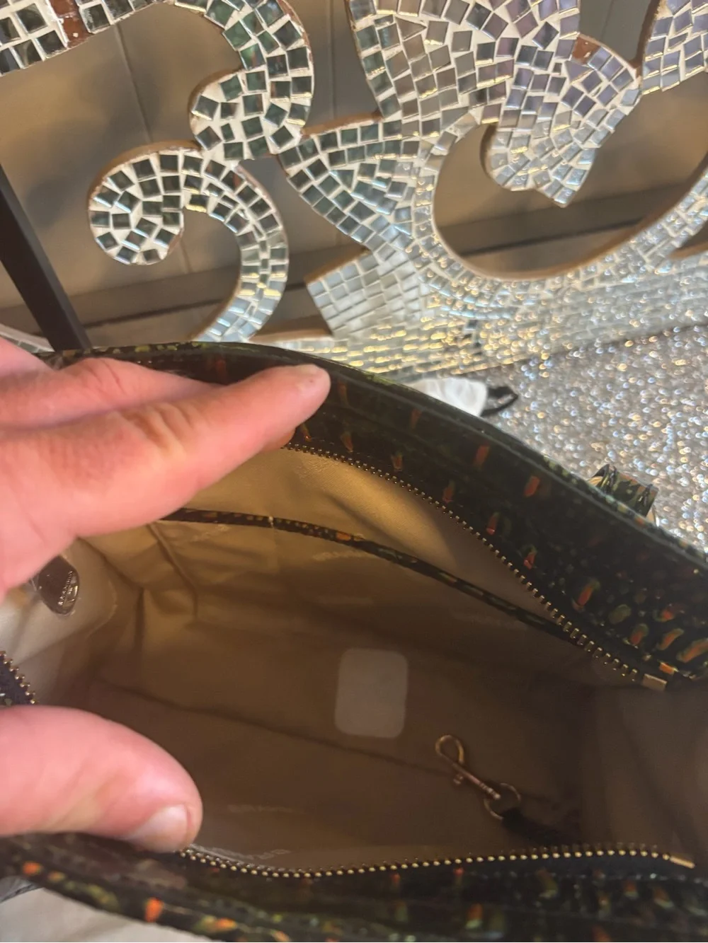⭐️Brahmin Cami Samba Melbourne Satchel